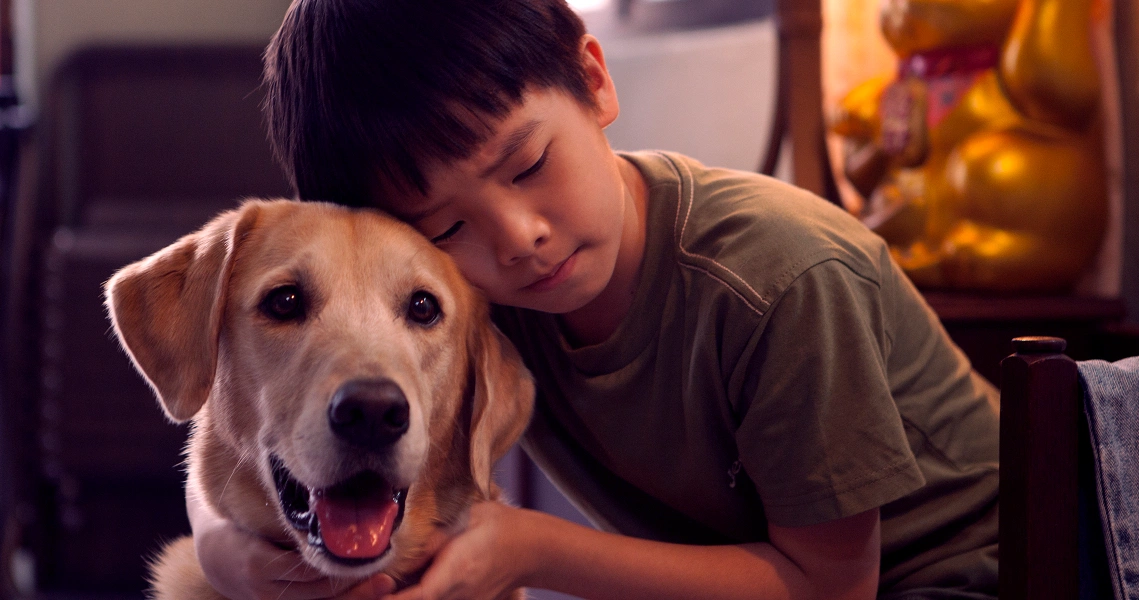 A young boy embraces a golden retriever in a heartwarming scene from the film "My Dog Dou Dou."