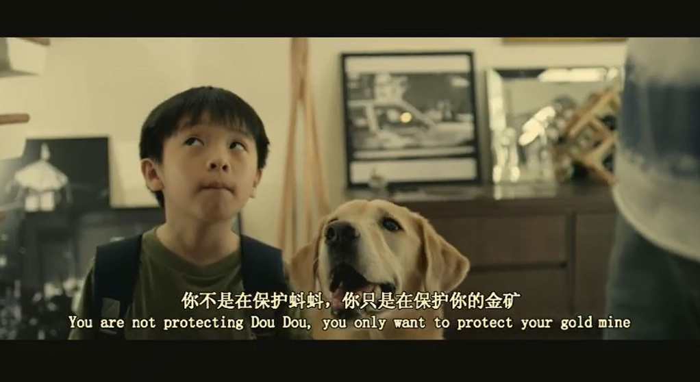 YouTube video cover featuring Singaporean film My Dog Dou Dou