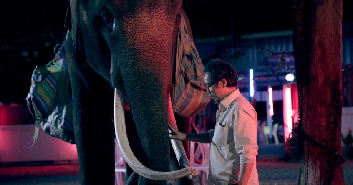 A poignant scene from Pop Aye shows a man in white shirt gently touching an elephant's trunk at night, illuminated by colorful lights.