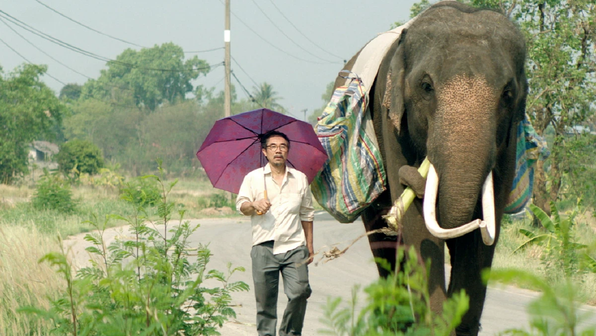 A scene from the film 'Pop Aye' showing an elderly man and an elephant walking together on a rural road in Thailand.