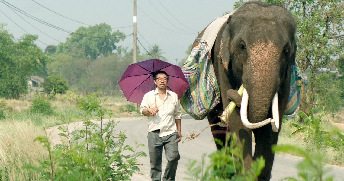 A scene from the film 'Pop Aye' showing an elderly man and an elephant walking together on a rural road in Thailand.