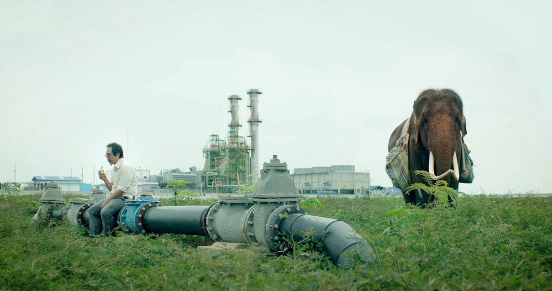 A scene from the film Pop Aye showing a man sitting on a pipeline with an industrial backdrop, while an elephant stands nearby.