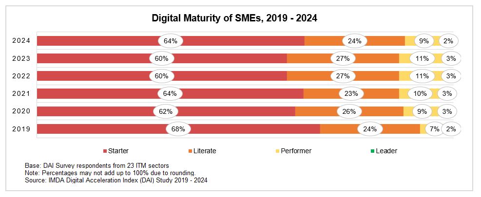 Digital Maturity of SMEs 2019 to 2024